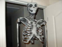 Painted skeleton